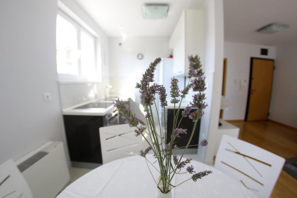 Lila Apartments Zadar Oda fotoğraf